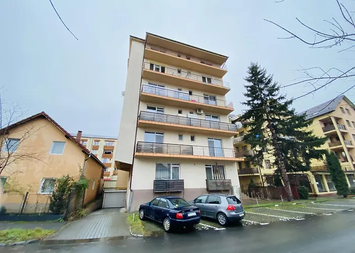Rentforcomfort Charming Flat In Bistrita